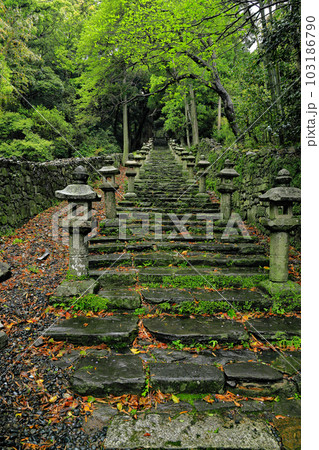 日本三大墓地「万松院」 日本三大墓地「万松院」 103186790