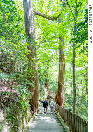 奈曽の白爆谷 奈曽の白爆谷 103186968