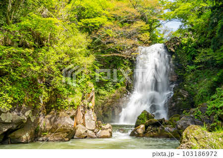 奈曽の白爆谷 103186972