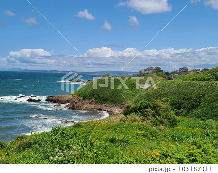 柏崎市　対岸に見える柏崎刈羽原子力発電所 103187011