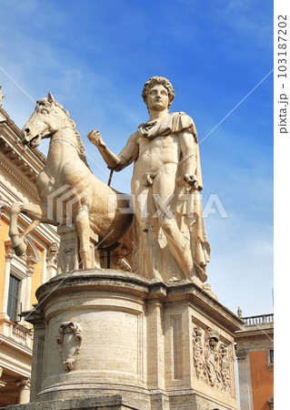 カストルとポルクスの双子の神の像 103187202
