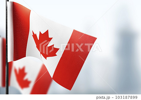 National flags of Canada 103187899