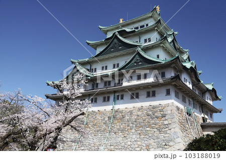 名古屋城 名城公園 桜 愛知県 名古屋城 名城公園 桜 愛知県 103188019