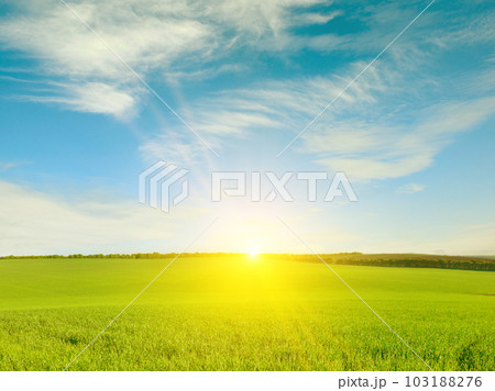 Dawn over wheat field and bright blue sky. Dawn over wheat field and bright blue sky. 103188276