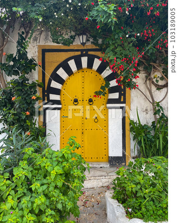 Sidi bou Said, Tunisia - January 6, 2022: Traditionally painted yellow tunisian door. Flowers and plants 103189005