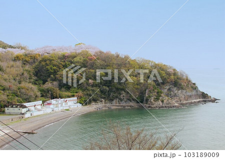 桜の季節の兵庫県赤穂御崎公園と福浦海水浴場 103189009