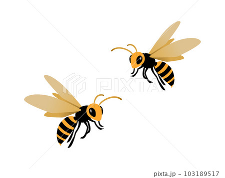 飛んでいる2匹のスズメバチのシンプルなイラスト 103189517
