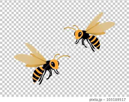 A simple illustration of two flying wasps 103189517