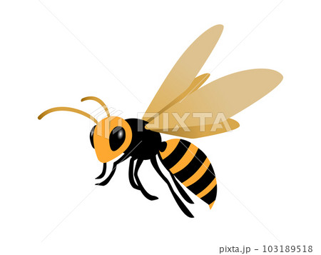 飛んでいるスズメバチのシンプルなイラスト 103189518