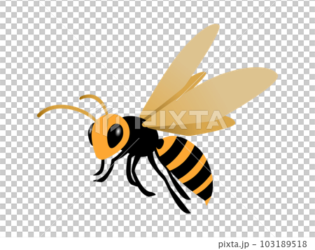 飛んでいるスズメバチのシンプルなイラスト 103189518