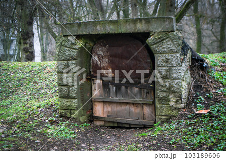 A door in a stone wall with a stone arch 103189606