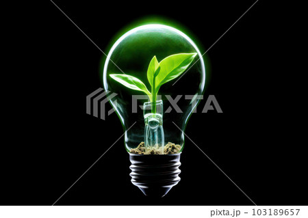 電球の中の新芽、エコイメージ 103189657