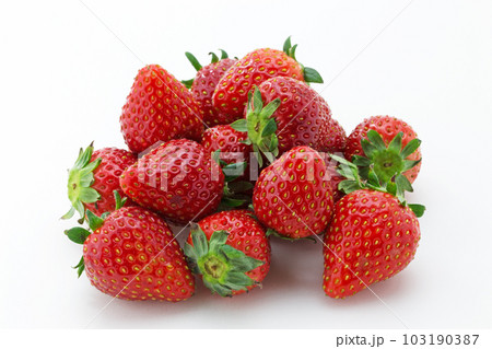 いちご 103190387
