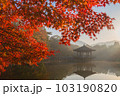 奈良県 奈良公園 浮御堂の紅葉 奈良県 奈良公園 浮御堂の紅葉 103190820