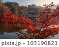 奈良県 奈良公園 浮御堂の紅葉 奈良県 奈良公園 浮御堂の紅葉 103190821