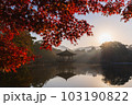 奈良県 奈良公園 浮御堂の紅葉 奈良県 奈良公園 浮御堂の紅葉 103190822