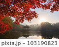 奈良県 奈良公園 浮御堂の紅葉 奈良県 奈良公園 浮御堂の紅葉 103190823