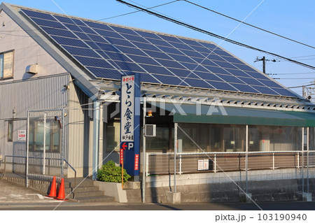 とら食堂 松戸分店　白河中華そば　自家製中太平打ちちぢれ　北総線の松飛台駅　千葉県松戸市紙敷　 103190940