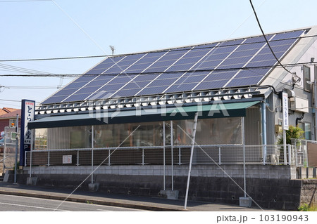 とら食堂 松戸分店　白河中華そば　自家製中太平打ちちぢれ　北総線の松飛台駅　千葉県松戸市紙敷　 103190943