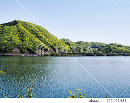晴れた初夏の釜房湖の水面と釜房大橋 晴れた初夏の釜房湖の水面と釜房大橋 103191481