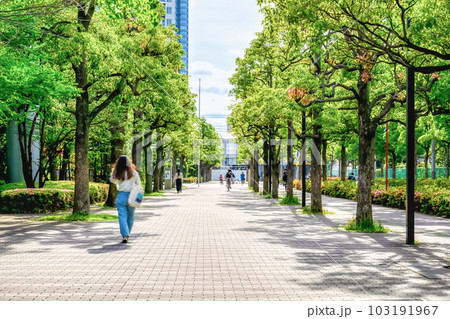 川崎市の都市風景 向河原駅 川崎市の都市風景 向河原駅 103191967