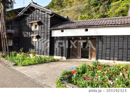 南越前町　河野北前船主通り（北前船主の館）出口 103192323