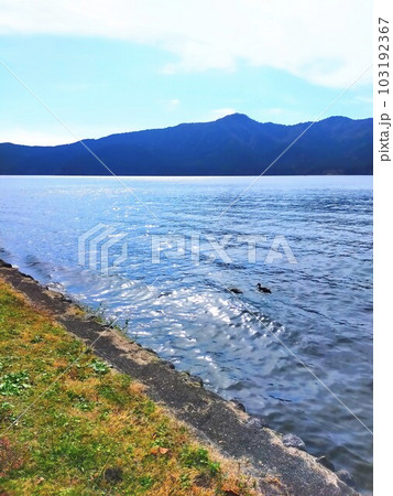 湖畔の風景 湖畔の風景 103192367