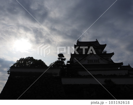 曇り空に覆われて幻想的な姿の岸和田城 曇り空に覆われて幻想的な姿の岸和田城 103192618