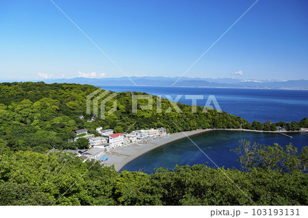 大瀬崎の初夏 大瀬崎の初夏 103193131