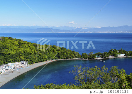 大瀬崎の初夏 大瀬崎の初夏 103193132