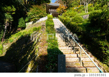 【中国三十三観音霊場】第二十四番 禅定寺の参道と山門 島根県雲南市 【中国三十三観音霊場】第二十四番 禅定寺の参道と山門 島根県雲南市 103193301