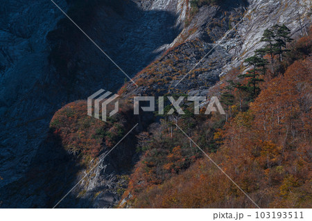 谷川岳の一ノ倉沢の紅葉 谷川岳の一ノ倉沢の紅葉 103193511