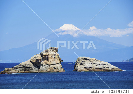 雲見海岸の初夏 雲見海岸の初夏 103193731