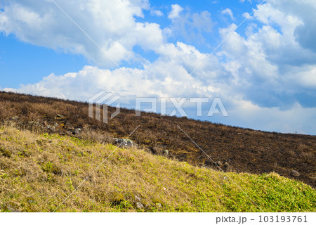 山火事の境界線【霧ヶ峰高原】 山火事の境界線【霧ヶ峰高原】 103193761