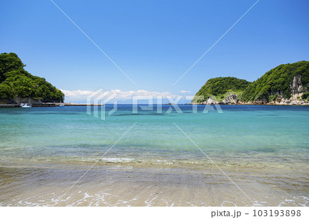 三浦海岸の初夏 三浦海岸の初夏 103193898