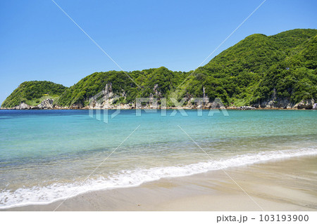三浦海岸の初夏 103193900