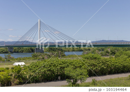 淀川左岸の下流から見る鳥飼仁和寺大橋 103194464