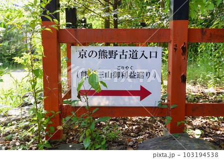 新熊野神社 京の熊野古道入口（京都市東山区） 103194538
