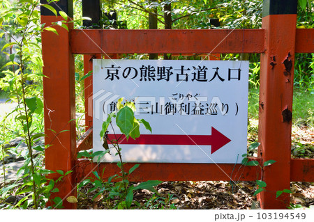 新熊野神社 京の熊野古道入口(京都市東山区) 新熊野神社 京の熊野古道入口(京都市東山区) 103194549