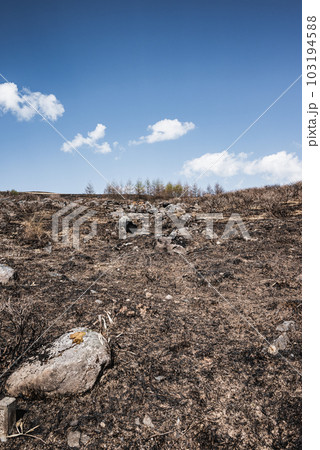 山火事の跡【霧ヶ峰高原】 山火事の跡【霧ヶ峰高原】 103194588