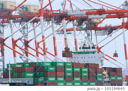 東京港のガントリークレーン　港湾作業　貨物船のコンテナの積み下ろし 103194643