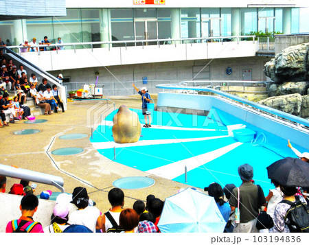 夏休みはやっぱり水族館！！ 103194836