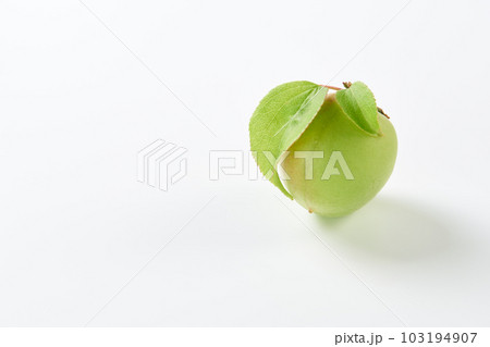 梅の実　白バックで 103194907