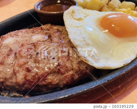 昼食で食べるハンバーグステーキ 103195229