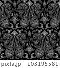 Paisley Ethnic Floral Hand Drawn Seamless Pattern 103195581