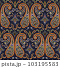 Paisley Ethnic Floral Hand Drawn Seamless Pattern 103195583