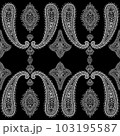 Paisley Ethnic Floral Hand Drawn Seamless Pattern 103195587