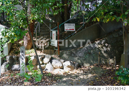 新熊野神社 京の熊野古道入口（京都市東山区） 103196342