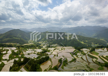 高知県本山町の吉延の棚田 103196365