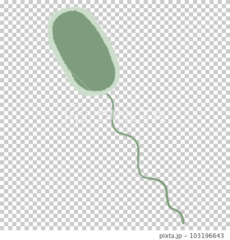 腸炎ビブリオのイラスト 腸炎ビブリオのイラスト 103196643